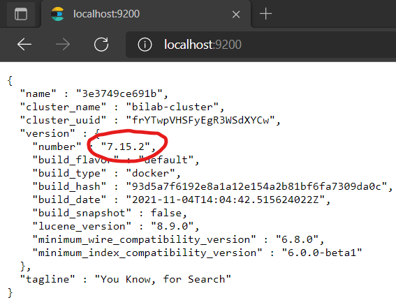 Elasticsearch version