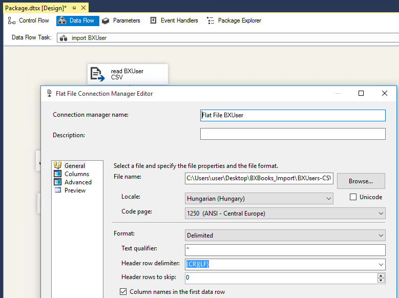 Integration Services flat file source settings